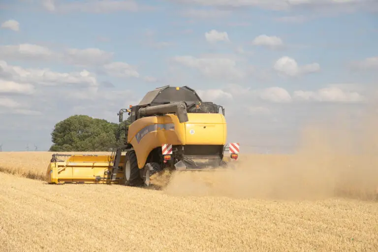 Webdesign Kriebstein